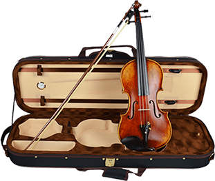 violin-case.png